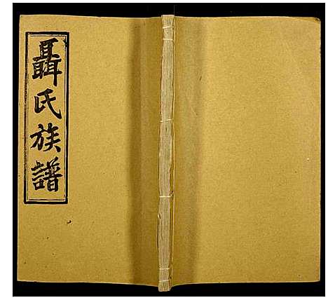 [下载][聂氏族谱]湖南.聂氏家谱_十二.pdf