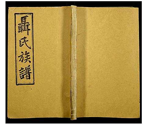 [下载][聂氏族谱]湖南.聂氏家谱_二十八.pdf