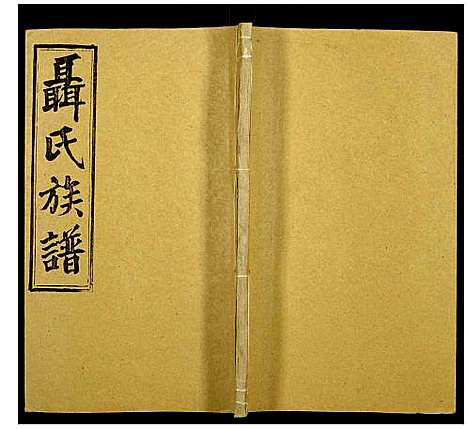 [下载][聂氏族谱]湖南.聂氏家谱_五十一.pdf