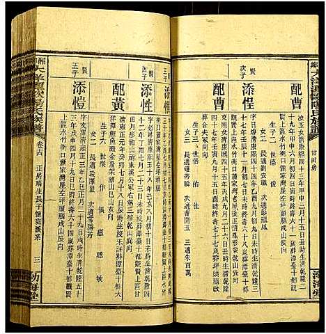 [下载][湘乡大洋潭欧阳氏族谱_35卷首7卷_湘乡大洋潭欧阳氏族谱]湖南.湘乡大洋潭欧阳氏家谱_十一.pdf