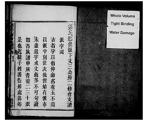 [下载][彭氏二修会支谱_彭氏郡侯派下文三公房二修会支谱]湖南.彭氏二修会支谱.pdf