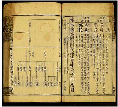 [下载][湘乡青兰彭氏三修族谱_残卷]湖南.湘乡青兰彭氏三修家谱_十二.pdf