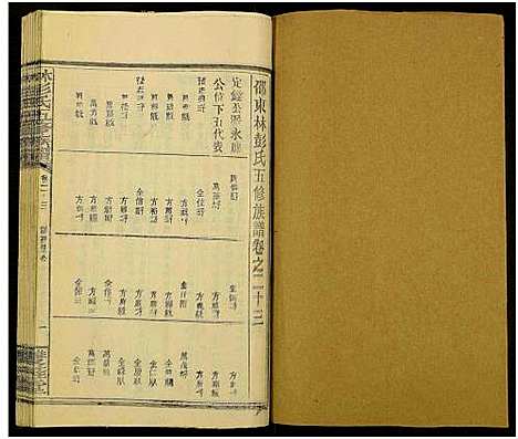 [下载][林彭氏五修族谱_卷上下_2卷又36卷_大泉林彭氏五修族谱]湖南.林彭氏五修家谱_九.pdf