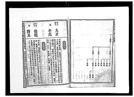 [下载][资阳邱氏五修支谱_9卷首2卷末3卷]湖南.资阳邱氏五修支谱_七.pdf