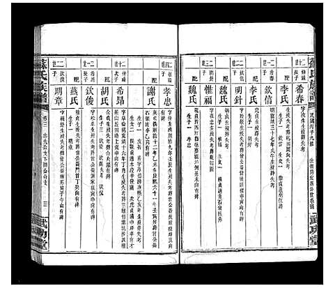 [下载][苏氏族谱_35卷首6卷]湖南.苏氏家谱_四.pdf