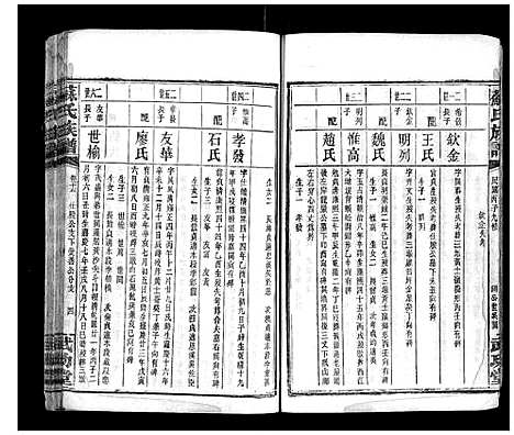 [下载][苏氏族谱_35卷首6卷]湖南.苏氏家谱_十.pdf