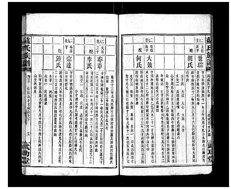 [下载][苏氏族谱_35卷首6卷]湖南.苏氏家谱_二十一.pdf