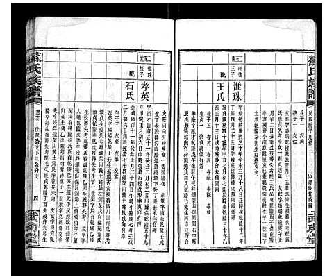 [下载][苏氏族谱_35卷首6卷]湖南.苏氏家谱_二十二.pdf