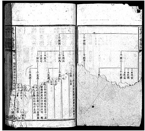 [下载][孙氏族谱_10卷首4卷_孙氏族谱_孙氏三修通谱]湖南.孙氏家谱_十一.pdf