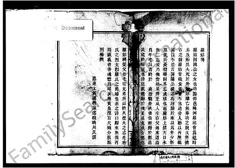 [下载][唐氏三修族谱]湖南.唐氏三修家谱.pdf