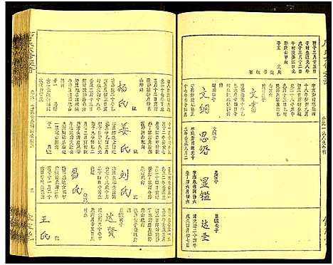 [下载][唐氏六修族谱_69号卷_唐氏族谱]湖南.唐氏六修家谱_九.pdf