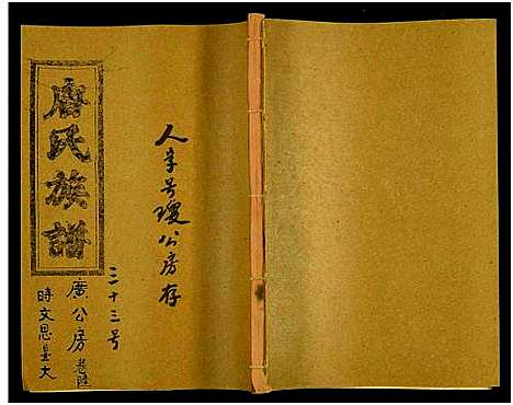 [下载][唐氏六修族谱_69号卷_唐氏族谱]湖南.唐氏六修家谱_三十三.pdf