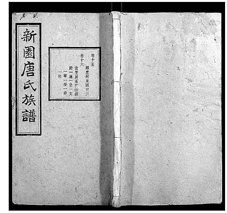 [下载][新园唐氏八修族谱_26卷]湖南.新园唐氏八修家谱_九.pdf