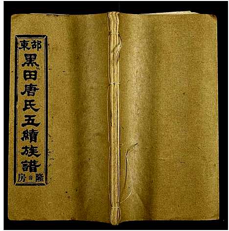 [下载][邵东黑田唐氏五续族谱_隆房49卷首3卷]湖南.邵东黑田唐氏五续家谱_五.pdf