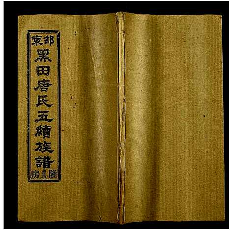 [下载][邵东黑田唐氏五续族谱_隆房49卷首3卷]湖南.邵东黑田唐氏五续家谱_八.pdf