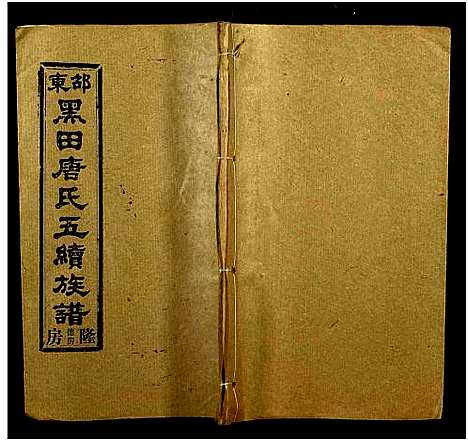 [下载][邵东黑田唐氏五续族谱_隆房49卷首3卷]湖南.邵东黑田唐氏五续家谱_二十九.pdf