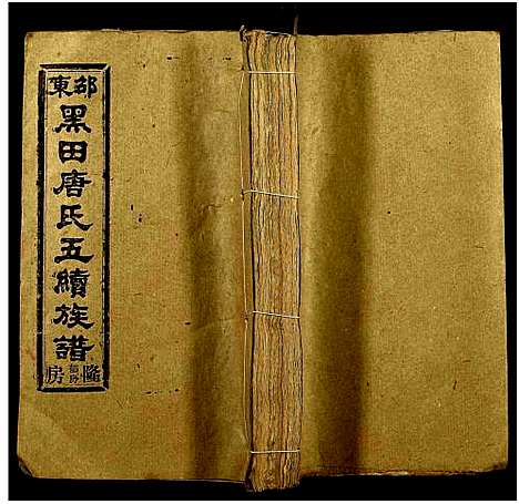 [下载][邵东黑田唐氏五续族谱_隆房49卷首3卷]湖南.邵东黑田唐氏五续家谱_四十二.pdf