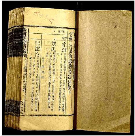 [下载][邵东黑田唐氏五续族谱_隆房49卷首3卷]湖南.邵东黑田唐氏五续家谱_四十七.pdf