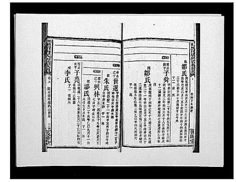 [下载][邵东黑田唐氏四续族谱]湖南.邵东黑田唐氏四续家谱_三十八.pdf