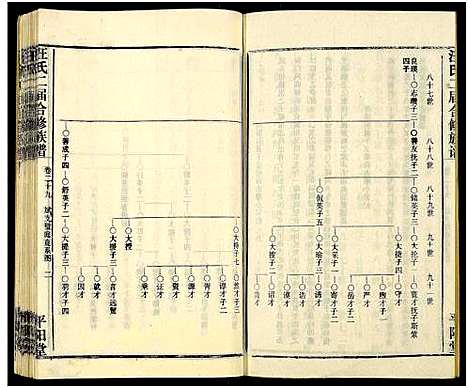 [下载][汪氏二届合修族谱_35卷及卷首]湖南.汪氏二届合修家谱_二十九.pdf