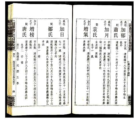 [下载][上湘苏塘王氏四修族谱]湖南.上湘苏塘王氏四修家谱_十三.pdf