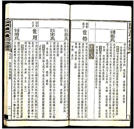 [下载][中湘留田王氏七修族谱_46卷_留田王氏七修族谱]湖南.中湘留田王氏七修家谱_二十五.pdf