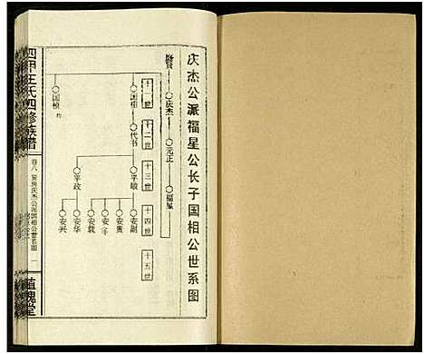 [下载][四甲王氏四修族谱_15卷首尾各1卷_王氏族谱]湖南.四甲王氏四修家谱_二十五.pdf