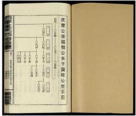 [下载][四甲王氏四修族谱_15卷首尾各1卷_王氏族谱]湖南.四甲王氏四修家谱_二十九.pdf