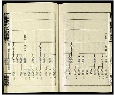 [下载][四甲王氏四修族谱_15卷首尾各1卷_王氏族谱]湖南.四甲王氏四修家谱_二十九.pdf