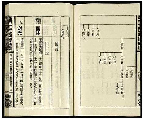 [下载][四甲王氏四修族谱_15卷首尾各1卷_王氏族谱]湖南.四甲王氏四修家谱_二十九.pdf