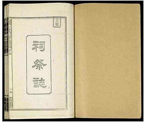 [下载][四甲王氏四修族谱_15卷首尾各1卷_王氏族谱]湖南.四甲王氏四修家谱_三十一.pdf