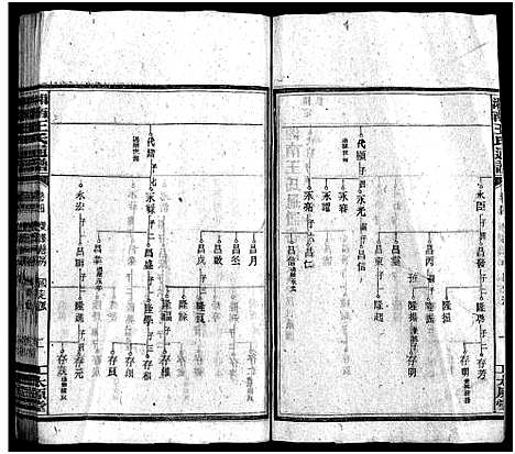 [下载][湘南王氏通谱_19卷首1卷_王氏通谱]湖南.湘南王氏通谱_四.pdf