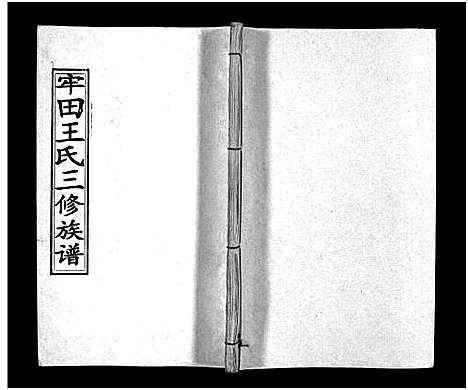 [下载][牢田王氏三修族谱_39卷首末各1卷]湖南.牢田王氏三修家谱_十六.pdf