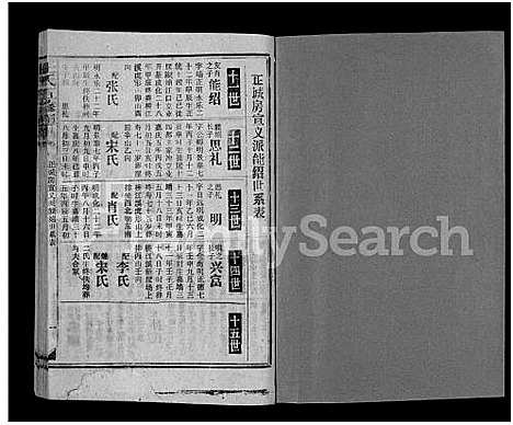 [下载][王氏五修通谱_不分卷首4卷]湖南.王氏五修通谱_十四.pdf