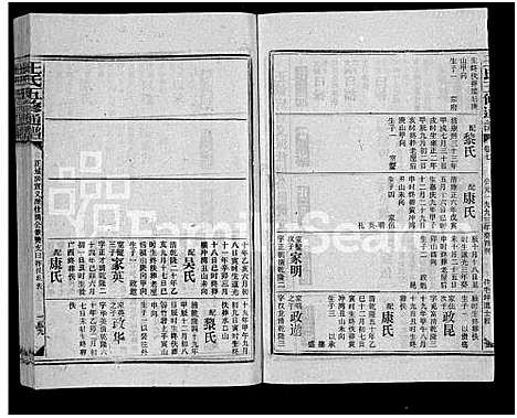 [下载][王氏五修通谱_不分卷首4卷]湖南.王氏五修通谱_二十三.pdf