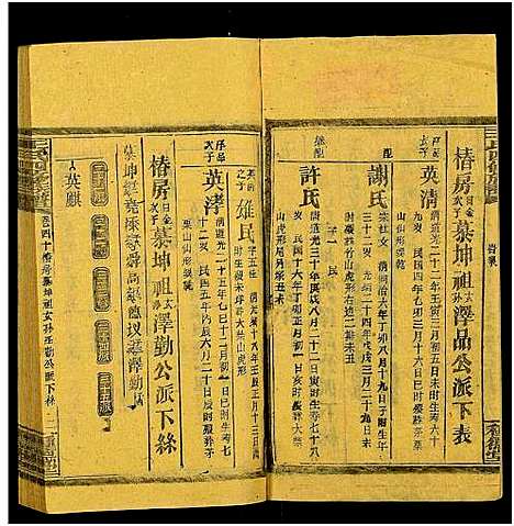 [下载][王氏四修族谱_53卷首3卷_邵陵王氏四修谱]湖南.王氏四修家谱_四十九.pdf