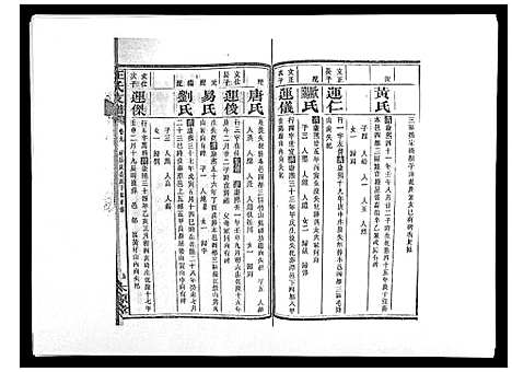 [下载][王氏支谱_20卷]湖南.王氏支谱_九.pdf