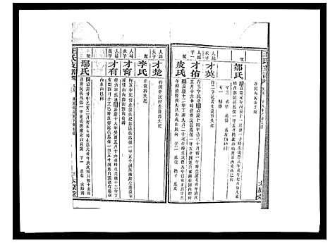 [下载][王氏支谱_20卷]湖南.王氏支谱_十七.pdf