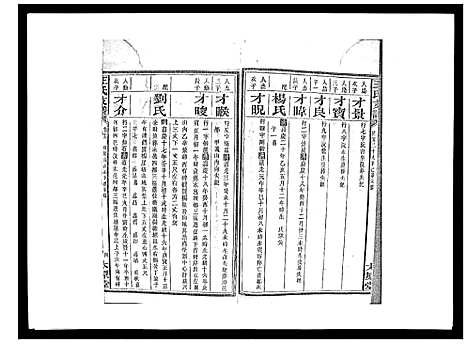 [下载][王氏支谱_20卷]湖南.王氏支谱_十七.pdf