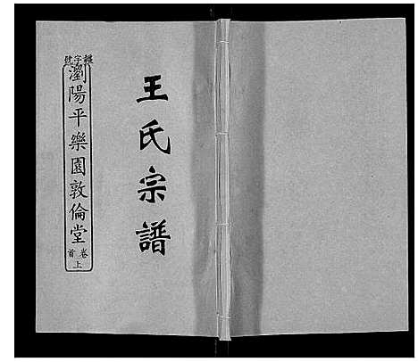 [下载][王氏族谱]湖南.王氏家谱_二.pdf