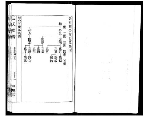 [下载][王氏族谱]湖南.王氏家谱_十二.pdf