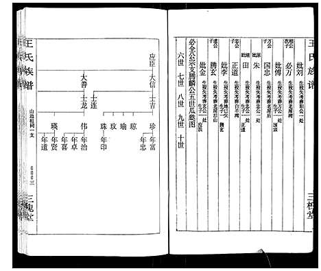 [下载][王氏族谱]湖南.王氏家谱_十二.pdf