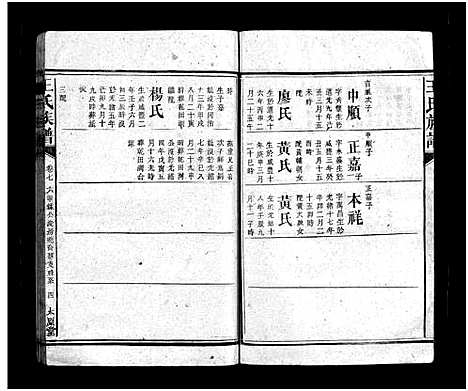 [下载][王氏族谱_16卷首3卷]湖南.王氏家谱_九.pdf