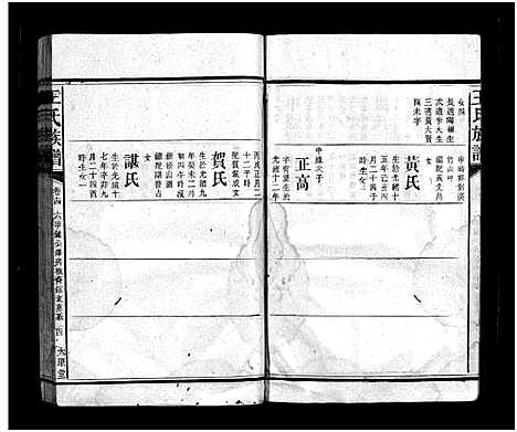 [下载][王氏族谱_16卷首3卷]湖南.王氏家谱_十七.pdf