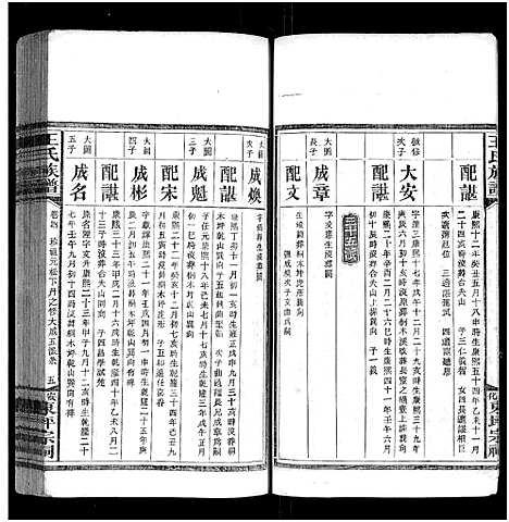 [下载][王氏族谱_11卷]湖南.王氏家谱_五.pdf