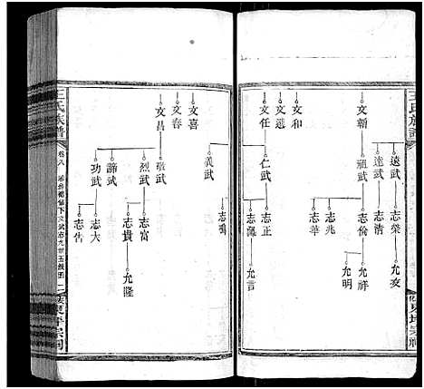 [下载][王氏族谱_11卷]湖南.王氏家谱_九.pdf