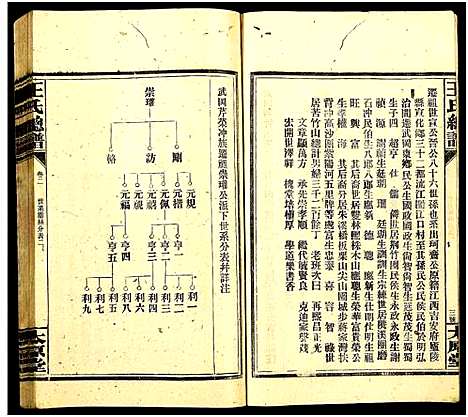 [下载][王氏总谱_8卷]湖南.王氏总谱_三.pdf