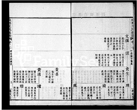 [下载][王氏通谱_106卷首2卷]湖南.王氏通谱_二.pdf