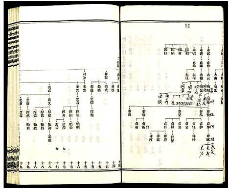 [下载][皮林王氏五修族谱_26卷]湖南.皮林王氏五修家谱_二十一.pdf