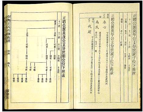 [下载][双衡王氏四修族谱_14卷]湖南.双衡王氏四修家谱_九.pdf